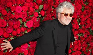 Pedro Almodovar sẽ được tôn vinh